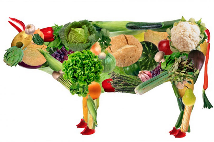 Considere o veganismo! ✌️ . ✓ pelos animais ✓ pelo planeta ✓ pela saúde  #govegan 🌱💚 #vegan #vegano…