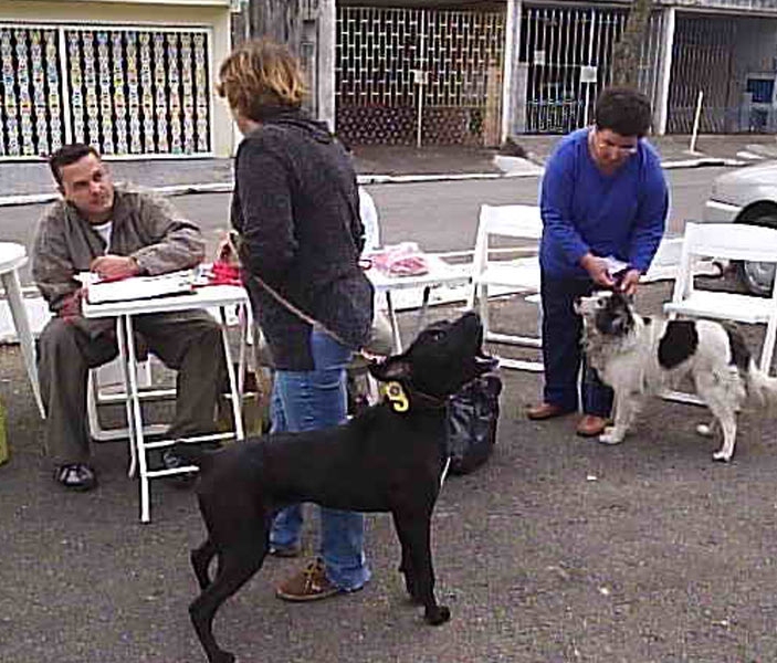 Acervo / Portal O Taboanense