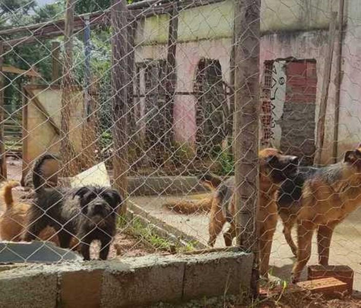 Divulgação/Polícia Civil