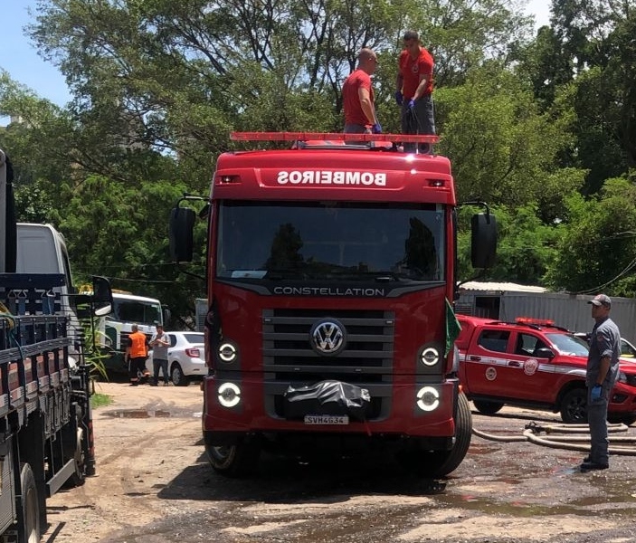 Divulgação