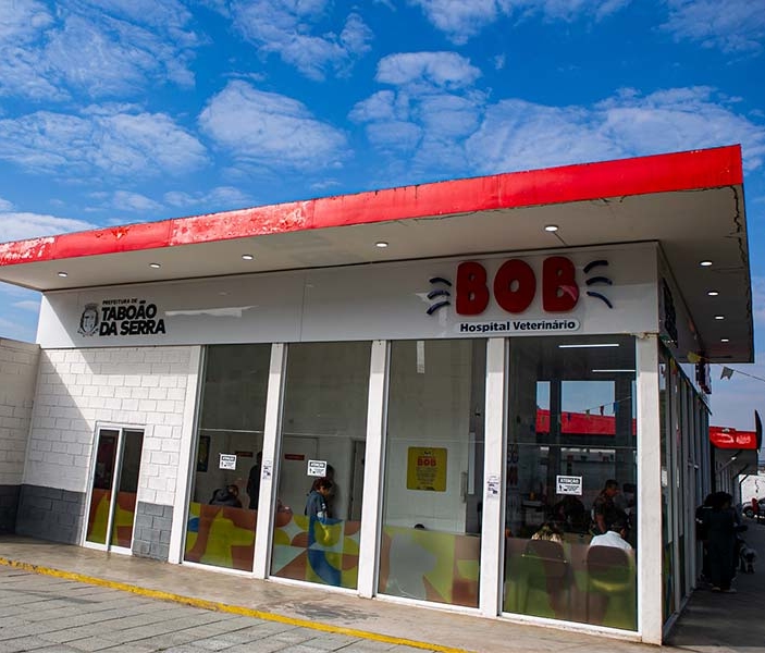 Ricardo Vaz / Divulgação