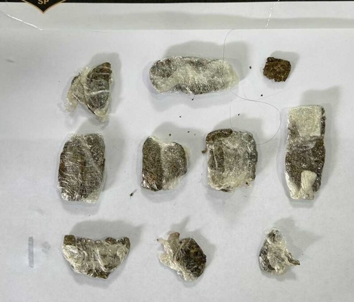 Divulgação | SAP SP