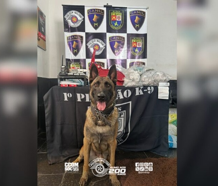 Divulgação | PMESP