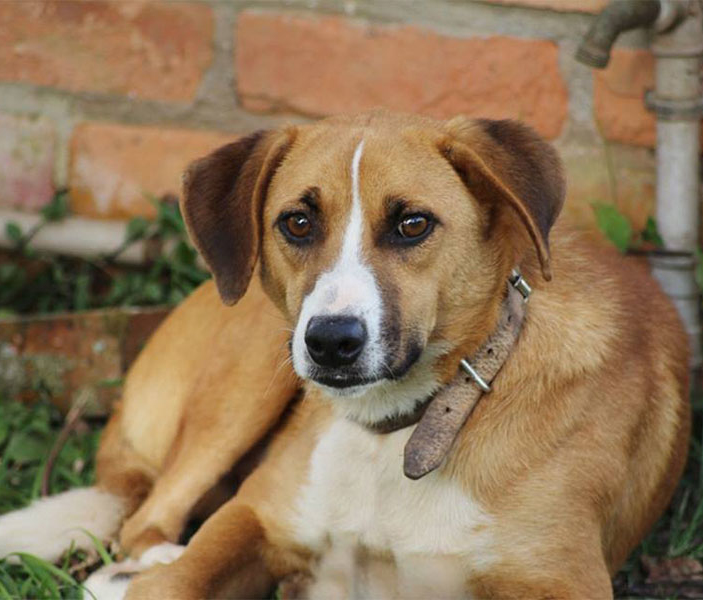 Arquivo / O Taboanense