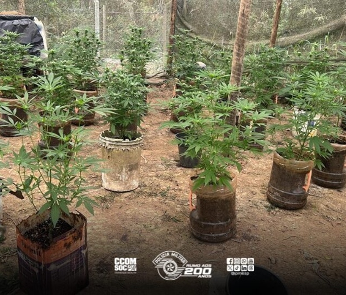 Divulgação | PMESP