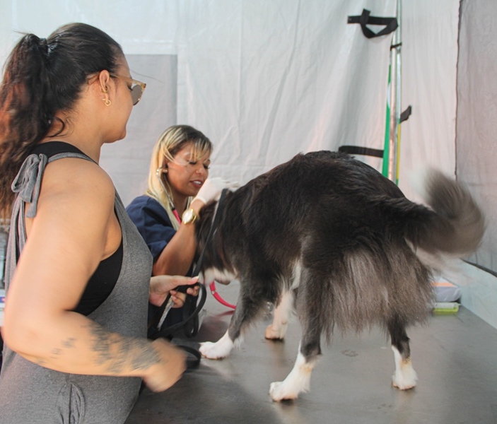 Divulgação | Secom | PMTS