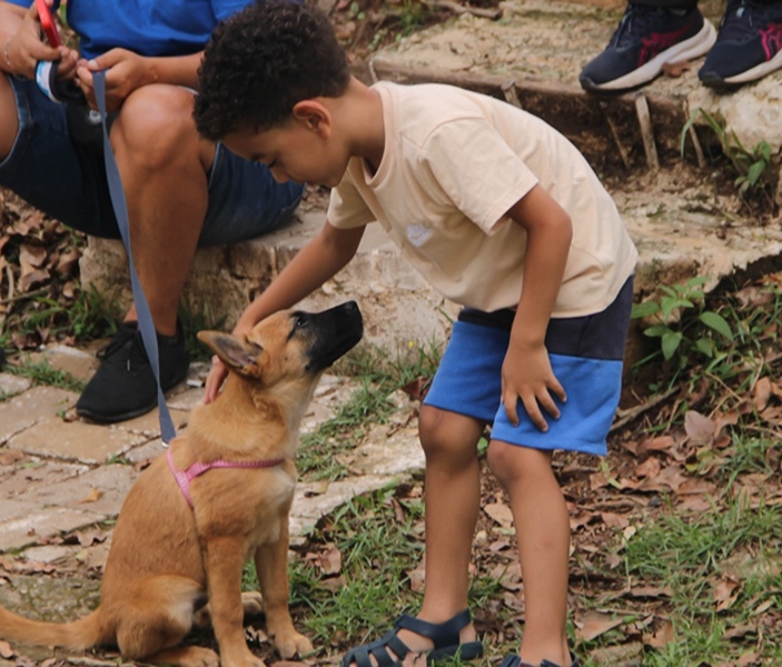 Antonia Alves | Secom | PMTS