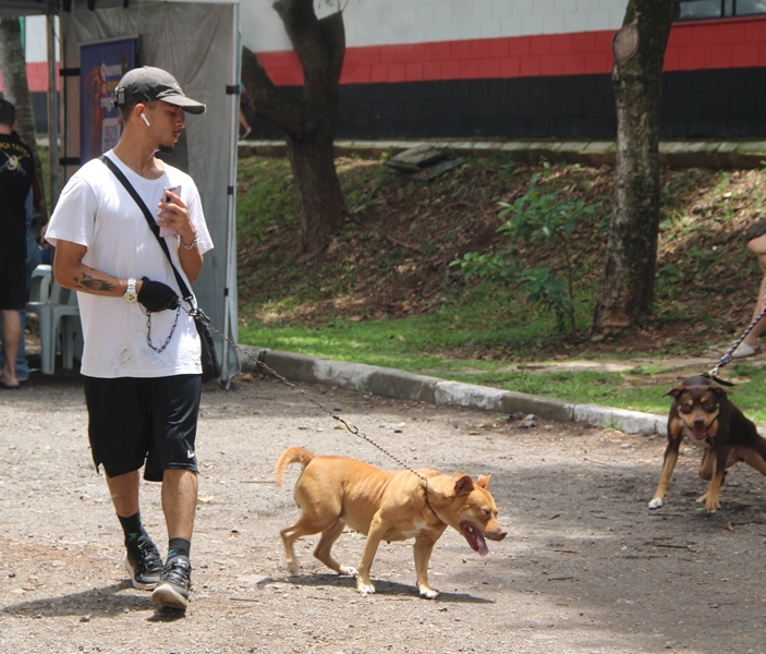 Antonia Alves| Secom | PMTS