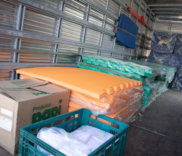 Antonia Alves| Secom | PMTS