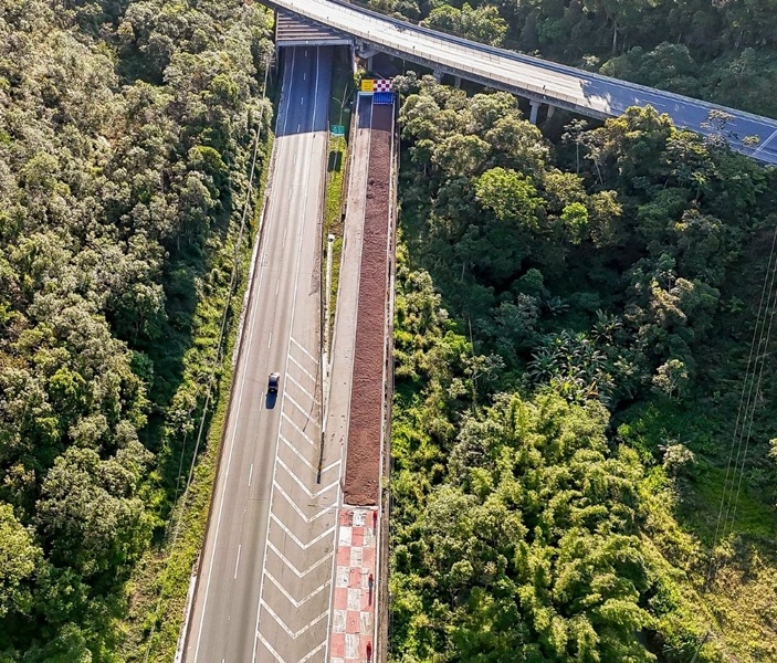 Divulgação | Arteris